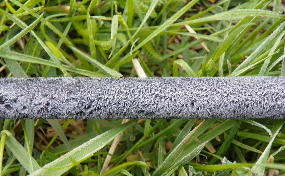 MV 2  - Blank la gheata